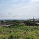 하모리-44 이미지