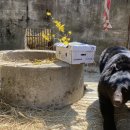 웅담2농장 이미지