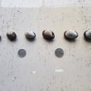 벌교택배2 이미지