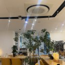 설이헤어라인 | 청주 지웰시티 미용실 <헤어바이반룬하우트> 웨딩촬영 전 아베다 천연염색 대성공!