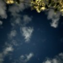 제주도 소규모 게스트하우스 이미지