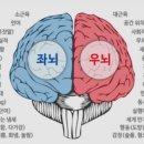 샤인피아노학원 - 천안시 동남구 광풍로 1863 | 샤인피아노학원