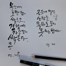 캘리그라피 이미지