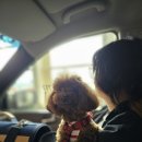 와우 동물농장 이미지