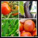 복지용구153 | 인천 계양구 간호전문 요양원 너싱홈호수 간호전문요양원 개별 욕구 존중하는 2인실 제공