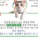 훼더미용실