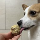 어뮤즈댕 이미지