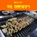 힘쎈민물장어 이미지