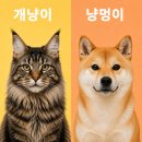 도도그루밍 | 강아지 같은 고양이 VS 고양이 같은 강아지 성격 유형