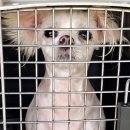 삼학초등학교 이미지