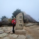 협성연립삼거리 교통섬 | 백두대간 21구간(밤티재~비재)
