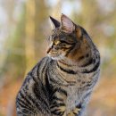 마음든 동물병원 이미지