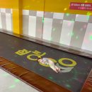 점핑고 이미지