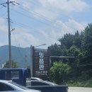 명품관옛날손짜장 이미지