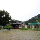 느티나무청과