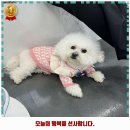 리츠펫 서산호수공원점 이미지