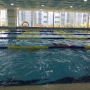 벌키키즈 36.5 수영장 이미지