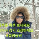 가나농원 Daum카페