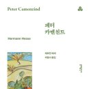 박종서 | 페터 카멘친트 _헤르만 헤세 · 박종서 옮김 / 문예출판사