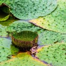 남양산역 뒤 이미지