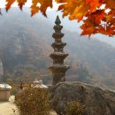 사부(고경) 이미지