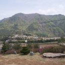 솔내음과 물소리 이미지