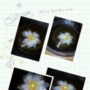 백련농장 이미지