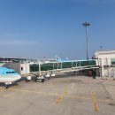 인천국제공항 제2공항의원 이미지