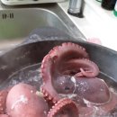 천포수산 - 5108 | 천포수산