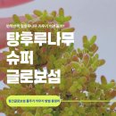 섬물 - 서귀포시 신평로 11 | 섬물