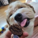 맛있개 냠냠 이미지