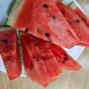 사인경로당 이미지