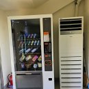 강아지숲 박물관 | 2025년 6월에 다녀온 강아지숲 네이처풀 후기