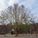 벽천공원(도시공원) 이미지