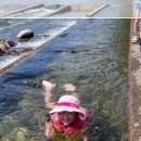 해담영농조합법인 이미지