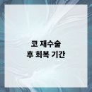리오성형외과의원 | 코 재수술 후 회복 기간 알아보기