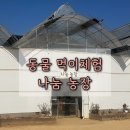 서울농장 | 서울근교 주말 체험농장 후기｜부천 나눔농장｜흙놀이터