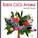 코코피부 이미지