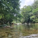 용현자연휴양림 이미지