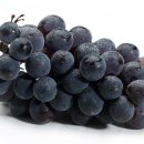 다이어트에 방해되는 쉽게 살찌는 과일들 이미지