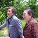 박실농장 Daum카페