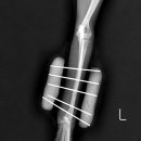 그랜드24시동물병원 이미지