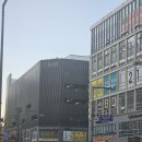 5단지롯데공인중개사사무소 | 새롬동 부동산 집 구할 때는 친절하고 꼼꼼한 메이저5단지공인중개사사무소