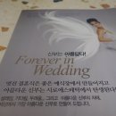 시로에스테틱
