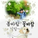 문의 장군봉산성 이미지