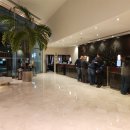 5588 | 하얏트 리젠시 두바이 5성급 호텔 신혼여행 스탑오버/조식 후기(+택시비용)