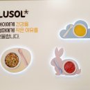 루솔(칠곡점)
