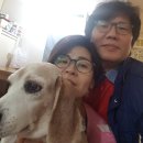 천사안경원 이미지