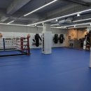 조남진 짐 이미지