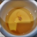 카덴 티스토리